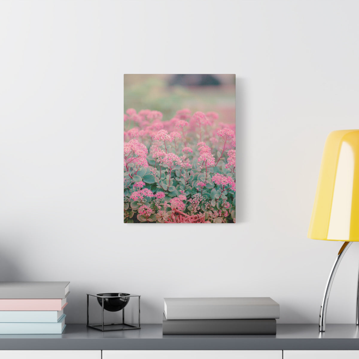 Vintage Pink Sedum Meadow | Matte Stretched Canvas Wall Art