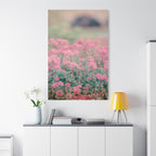 Vintage Pink Sedum Meadow | Matte Stretched Canvas Wall Art