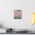 Vintage Pink Sedum Meadow | Matte Stretched Canvas Wall Art