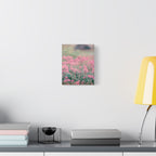 Vintage Pink Sedum Meadow | Matte Stretched Canvas Wall Art